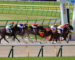 レースイメージ